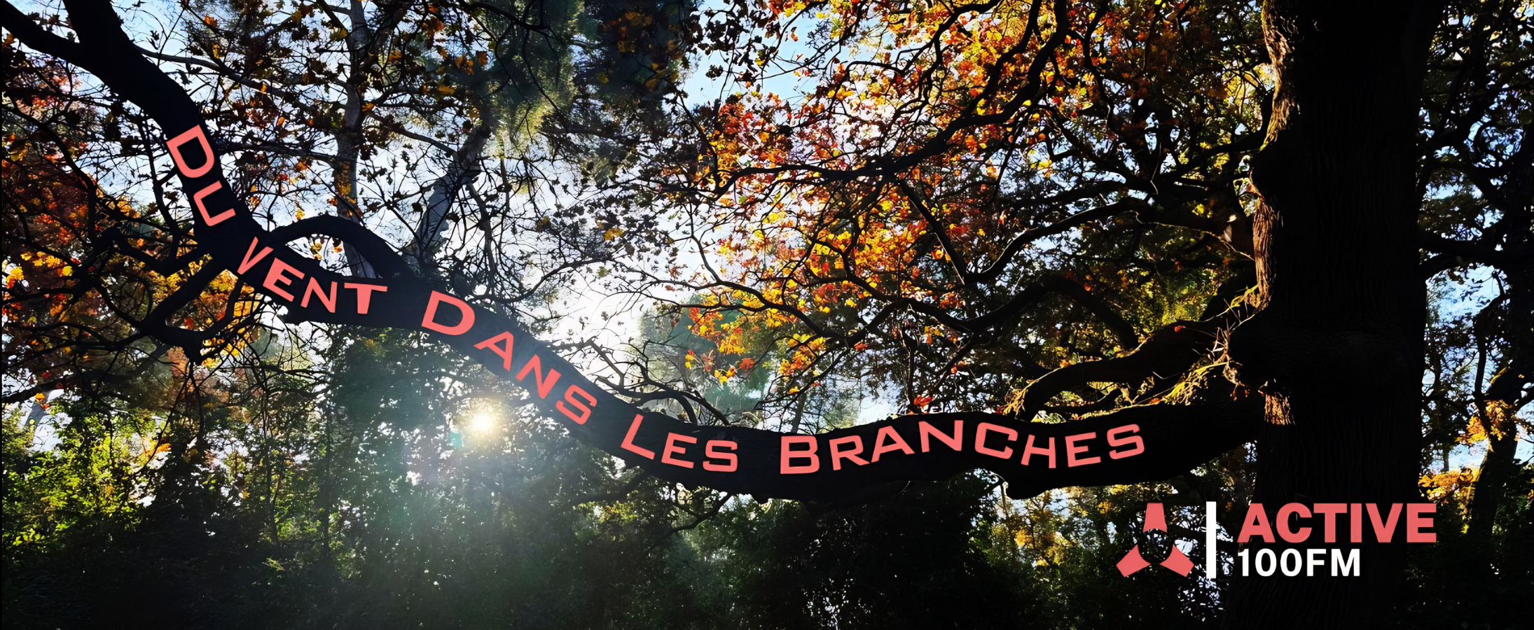 Du vent dans les branches